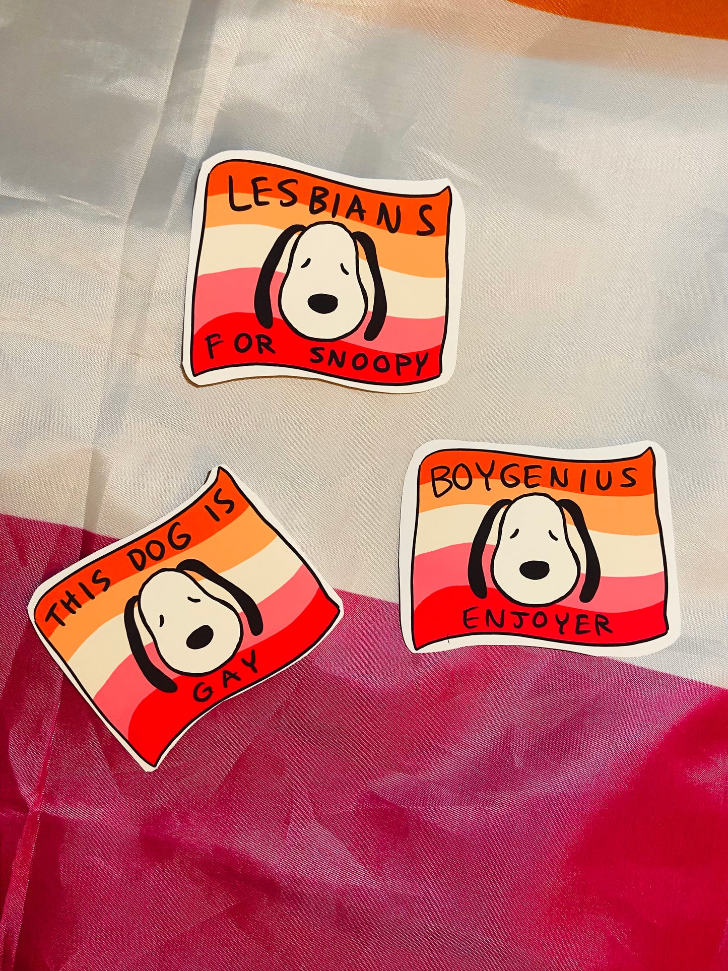 Lesbian Variety Stickers