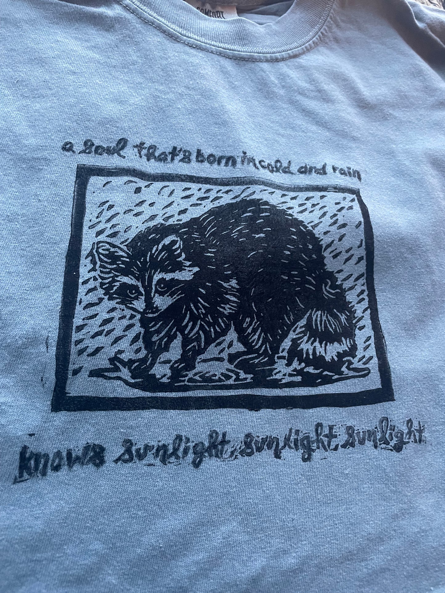 Marty- Rainy Raccoon Handprinted T-Shirt